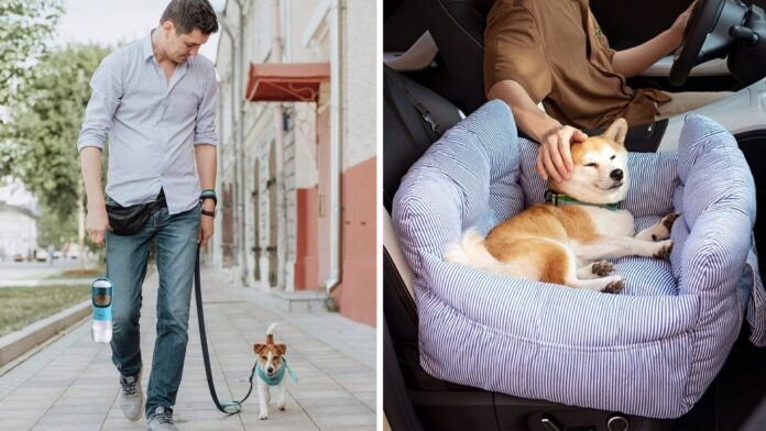 Essential Tips for Traveling with Your Pets This Year